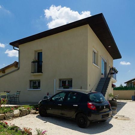 Guest House Domaine Des Grouilleres Saint-Clair-du-Rhone Kültér fotó